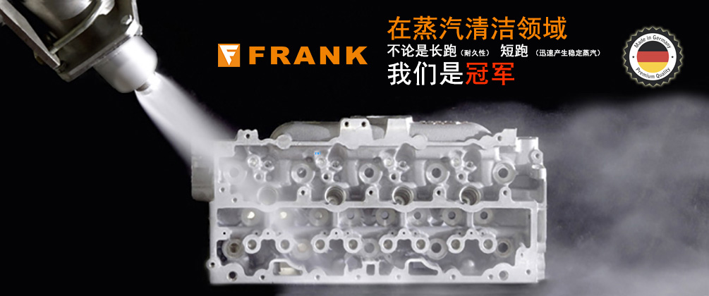 Frank IS-36 电加热蒸汽清洗机 - 饱和干蒸汽清洁技术